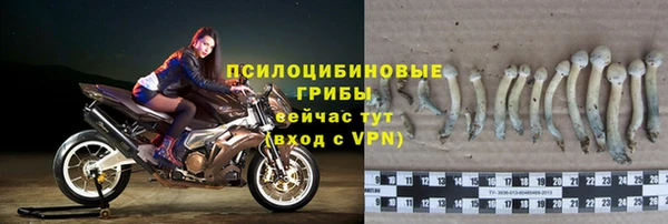 амфетамин Новодвинск