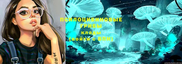 амфетамин Новодвинск