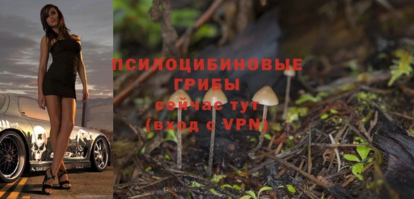 дурь Новозыбков