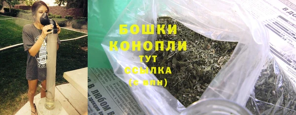 шишки Нефтегорск