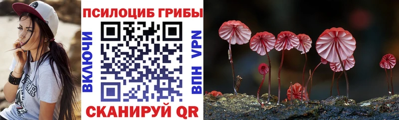 Галлюциногенные грибы Psilocybe  shop телеграм  Нерчинск 
